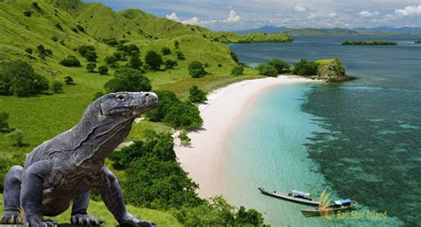 Komodo National Park | UNESCO World Heritages - Komodo Dragon