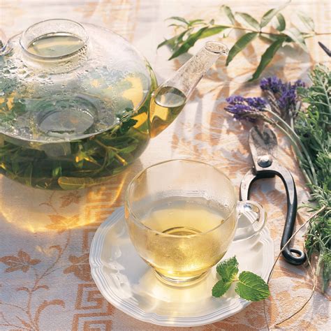 Thyme Tea | Recipe | Herbalism, Herbal tea, Herbs