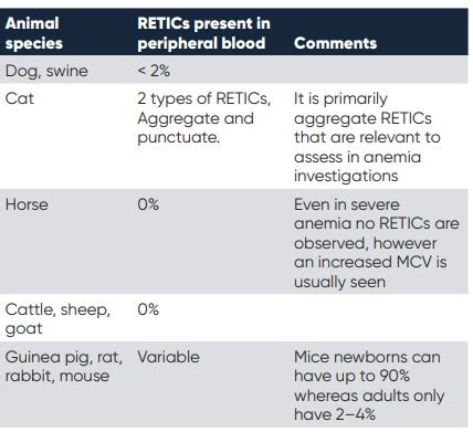 Investigation of veterinary anemia and the role of reticulocytes - Boule