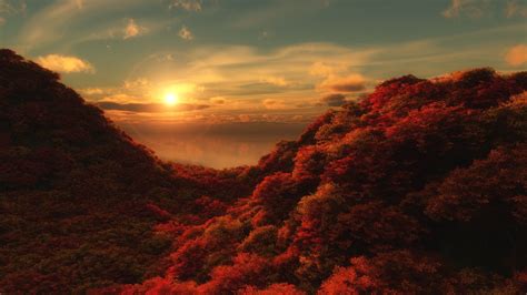 red leafed tree, red forest during golden hour #fall #landscape #Sun #sky #trees #c… | Sunset ...