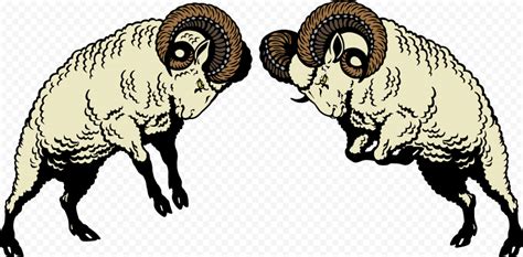 Two Wooly Sheep Ram Logo Fighting | Citypng