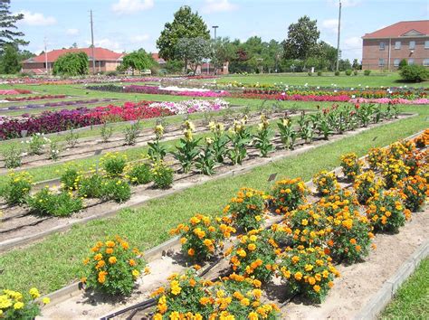 Ornamental Horticulture | Coastal R&E