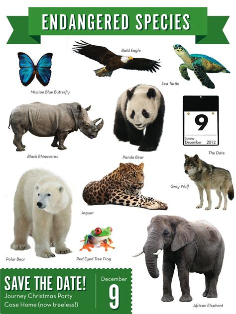 Pin by Kerri Jackson Case on Nineteen99 | Endangered animals list, Extinct and endangered ...