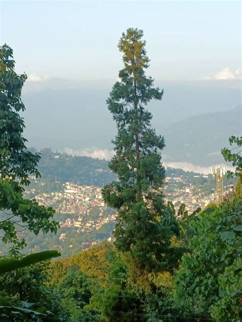 MUST VISIT PLACE IN WEST BENGAL: KALIMPONG