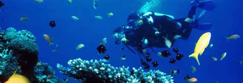 Scuba Diving at Tarkarli Beach with 5 Adventure Watersports | 50% OFF ...