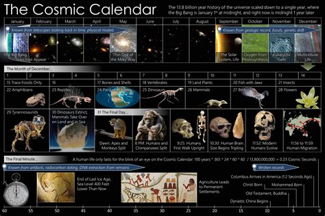 The Cosmic Calendar - samim