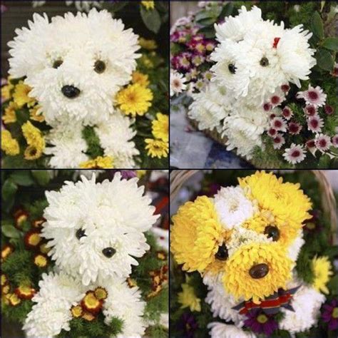 PuPPy Bouquet