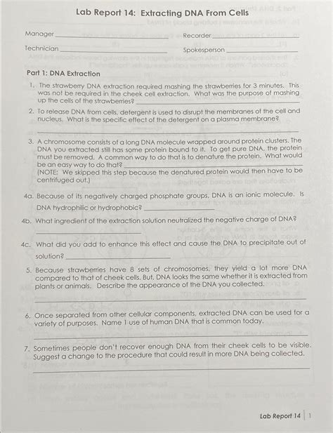 Solved Lab Report 14: Extracting DNA From | Chegg.com