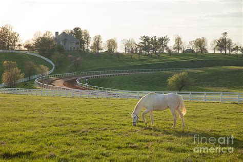 Horse Farm Sunset Photograph by Mike Wilkinson