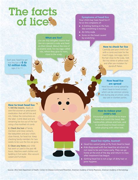 Myths About Head Lice Prevention - Pop Screen Bot