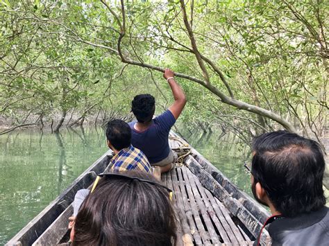 Sundarbans National Park Tour - Experience in India You've Never Heard