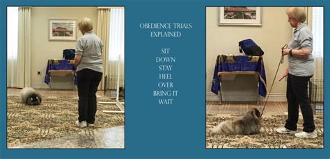 Obedience Trials Explained - Pekingese Club of America