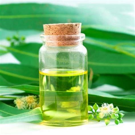 Eucalyptus Oil at best price in Chennai by Viencee Pharma Science | ID ...