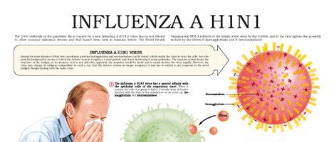 Influenza A H1N1 – Anejo