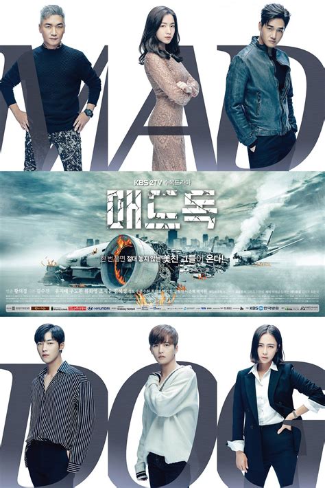 Download Mad Dog (Korean Drama) - 2017 | Korean drama, Korean drama 2017, Drama korea