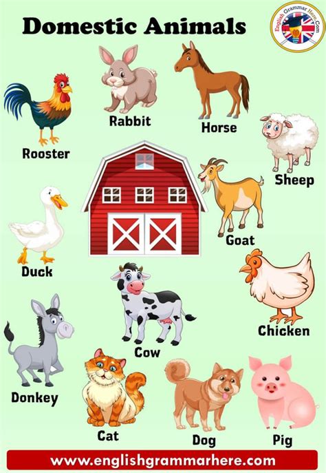 Herbivore Animals Name List