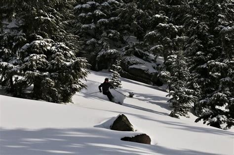 Mt Hood Meadows Ski Resort Guide | Snow-Forecast.com