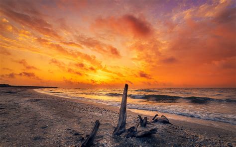 Wallpaper : sunrise, beach, nature, photography 1920x1200 ...