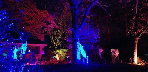 My yard lighting. : r/halloween