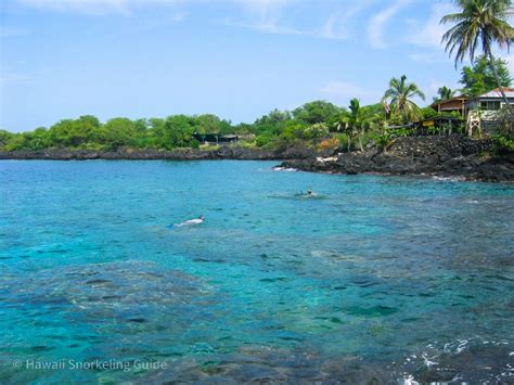 City of Refuge Snorkeling Secrets! Your Guide to Big Island Snorkeling!