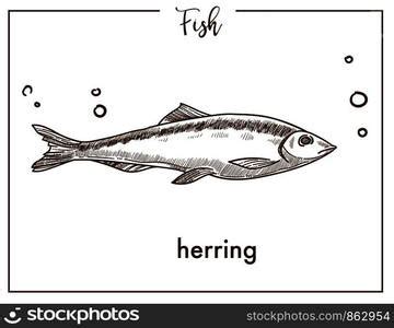 Milkfish sketch fish icon. Vector isolated chanos or bangus species fish sketch for fishing ...