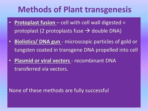 PPT - Transgenesis PowerPoint Presentation, free download - ID:4824184