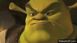 Shrek Meme Face Gif Maker - IMAGESEE
