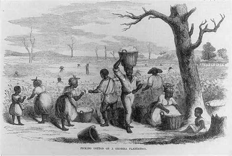 Slaves Picking Cotton | Antebellum south, Picking cotton, African ...