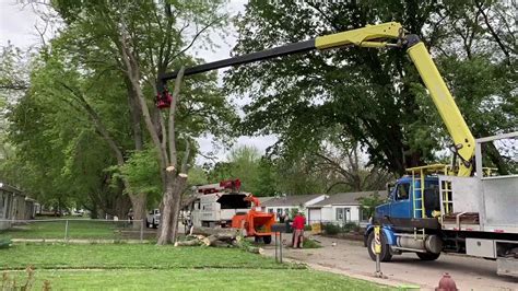 Grapple Saw Truck - Hackberry Removal - YouTube