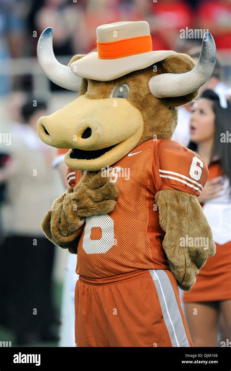 Texas longhorns mascot hi-res stock photography and images - Alamy