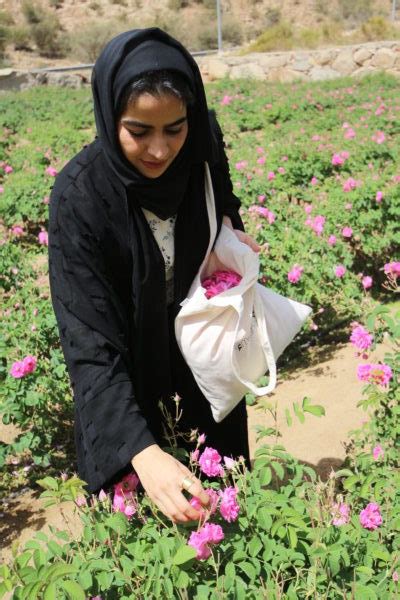 Taif Rose Festival - Tamashee