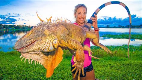 Massive IGUANA Hunting in my Backyard! Catch Clean Cook! WORLD RECORD!