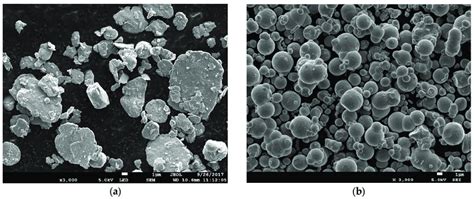 Scanning electron microscopy (SEM) morphology of different shapes of ...