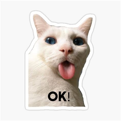 "Funny cat meme, Ok ! " Sticker by Elsdesign00 | Redbubble