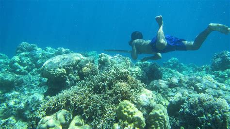 Rare Mutation Among Bajau People Lets Them Stay Underwater Longer