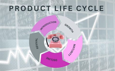 5 Stages Of The Product Life Cycle - (Definition and Examples)