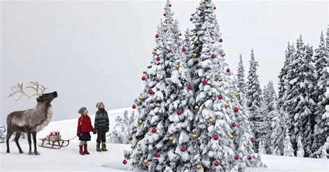 Britain set for white Christmas? 36 days of snow forecast after ...