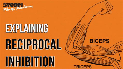 what is reciprocal inhibition | Fitness, Academy, Storm