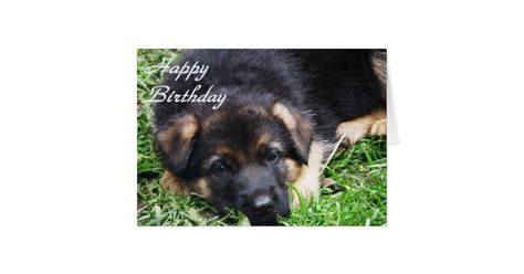 German Shepherd Puppy - Birthday card | Zazzle.com