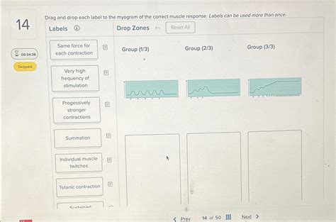 Solved 14Drag and drop each label to the myogram of the | Chegg.com
