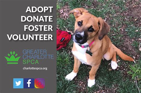 Greater Charlotte SPCA