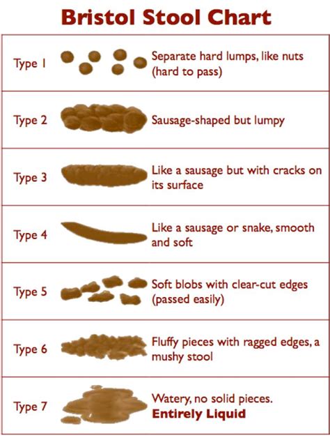 Black, Green or Bloody: What’s Up With My Poop? | Diet vs Disease