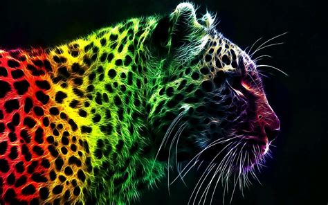 Rainbow Animals Wallpapers - Wallpaper Cave