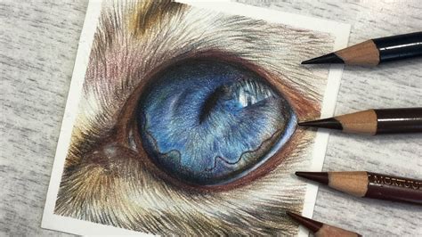Learn To Draw a Cat's Eye in Colored Pencil | REAL TIME TUTORIAL - YouTube