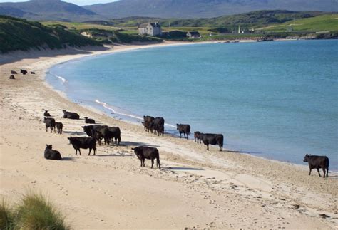 Visiting Durness, Accommodation, things to see and do