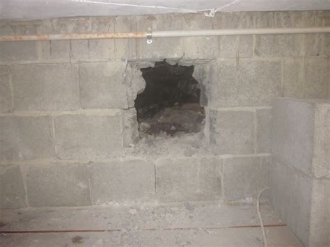 Termite nest found under a concrete patio | Conquer Termites : Brisbane Termite | White Ant ...