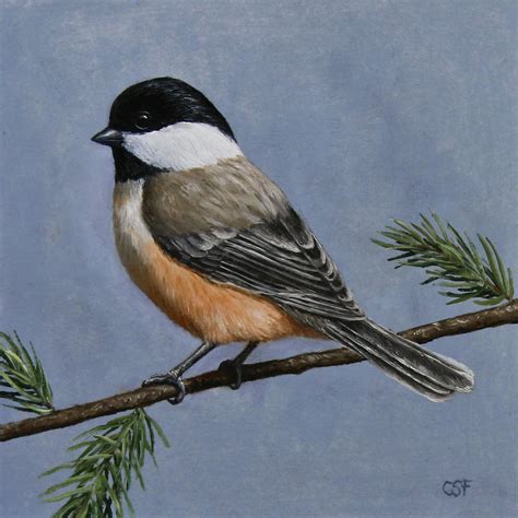 Chickadee Charm Painting by Crista Forest - Fine Art America