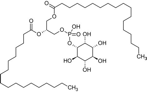 L-alpha-Phosphatidylinositol，Phospholipase C底物| Abcam中文官网