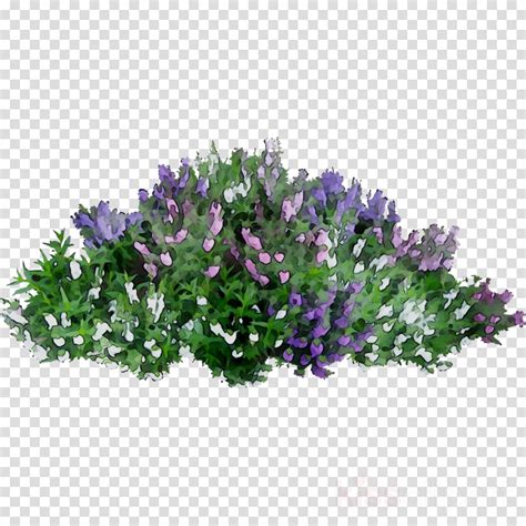 flowerbox clipart 10 free Cliparts | Download images on Clipground 2024