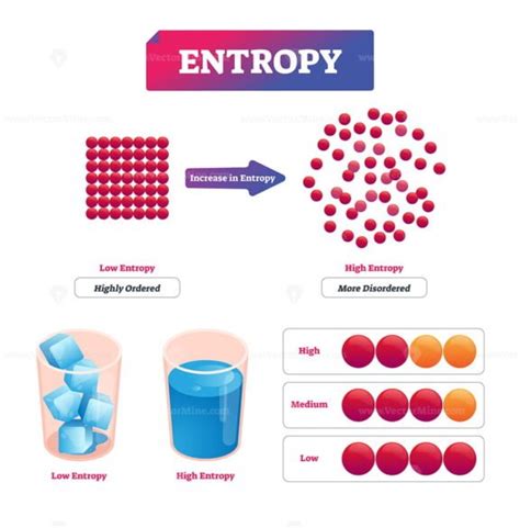 Entropy vector illustration – VectorMine